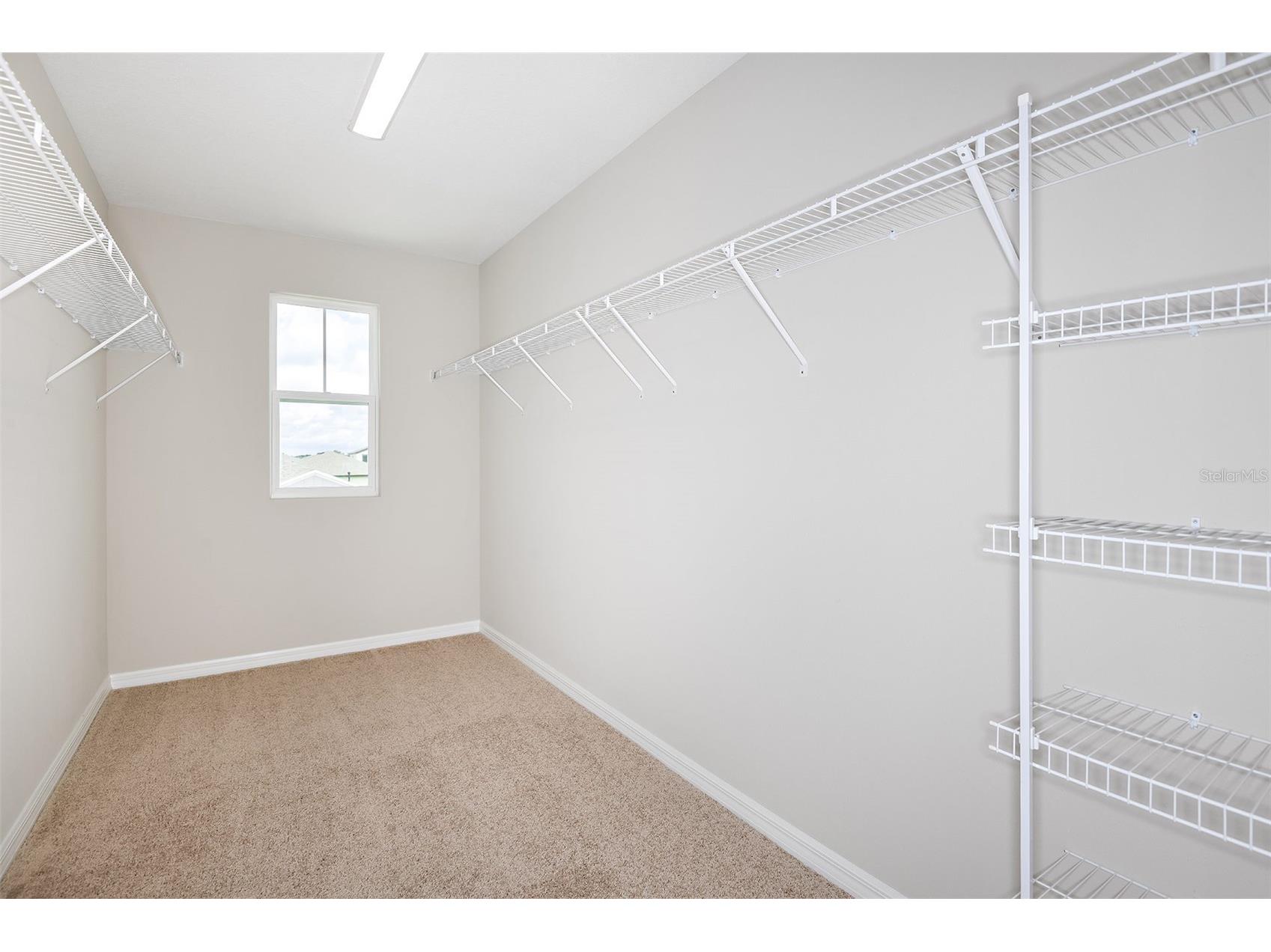 35433 Arbor Retreat Drive Dade City FL 33525 TB8502659 image7