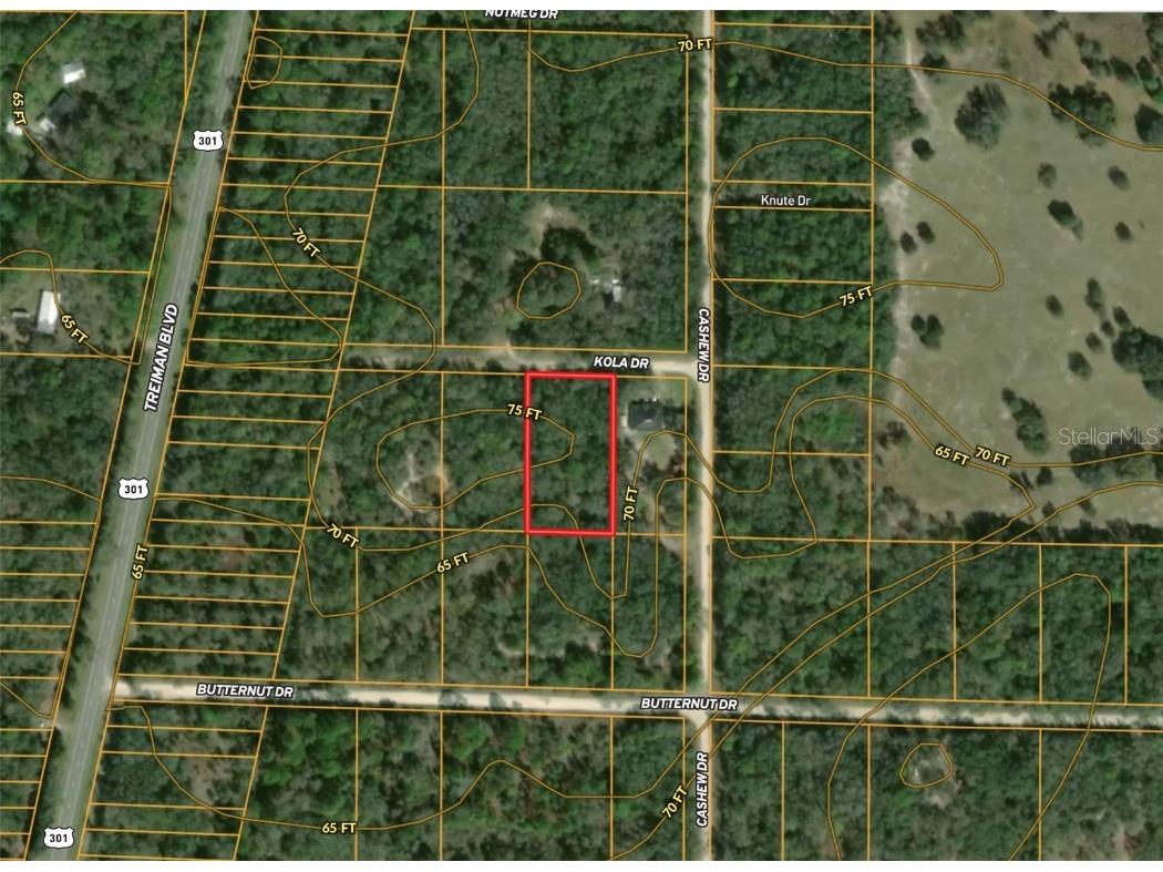 35434 Kola Drive Webster FL 33597 G5070175 image1