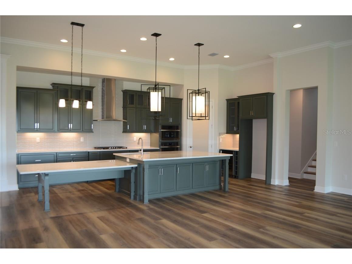 35436 Big Hawk Drive Zephyrhills FL 33541 TB8398199 image10