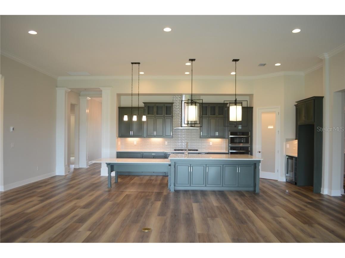 35436 Big Hawk Drive Zephyrhills FL 33541 TB8398199 image11