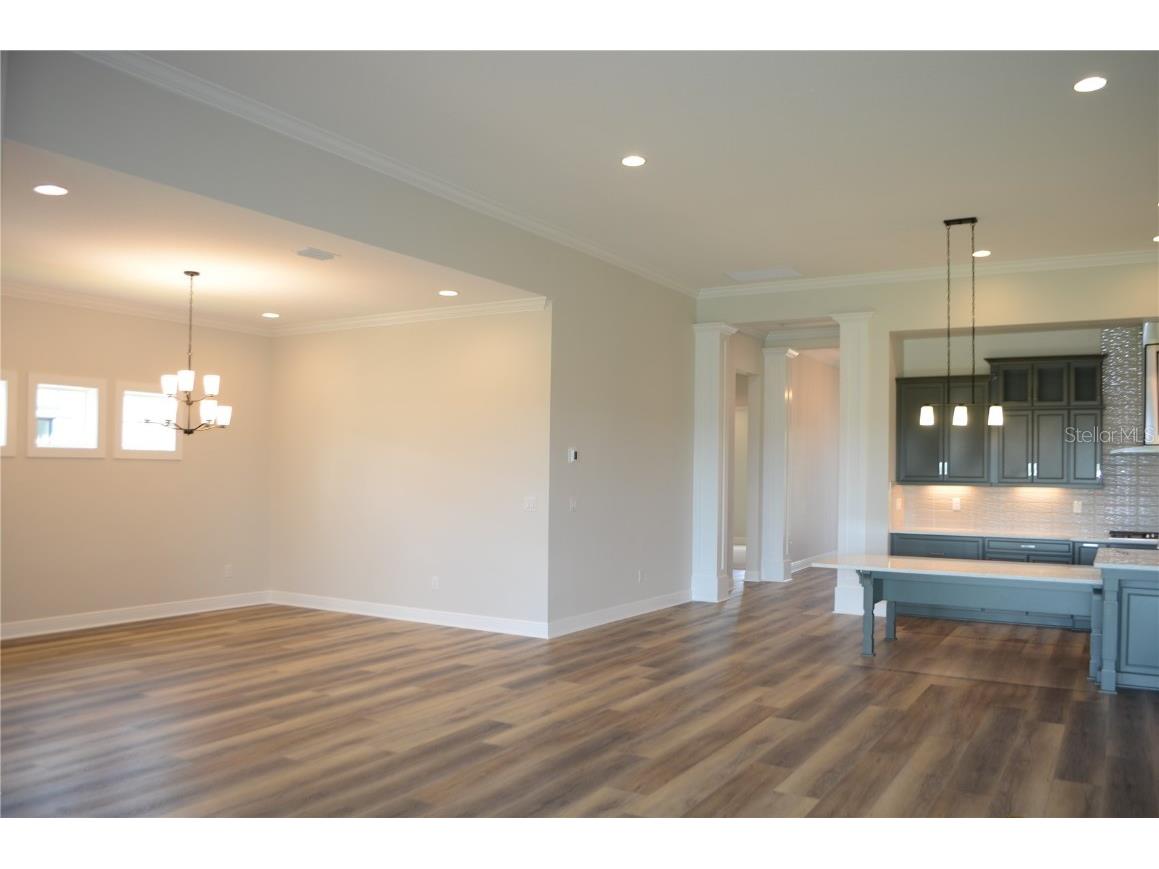 35436 Big Hawk Drive Zephyrhills FL 33541 TB8398199 image12