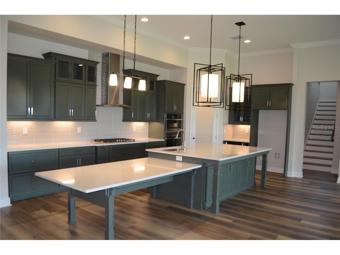 35436 Big Hawk Drive Zephyrhills FL 33541 TB8398199 image13