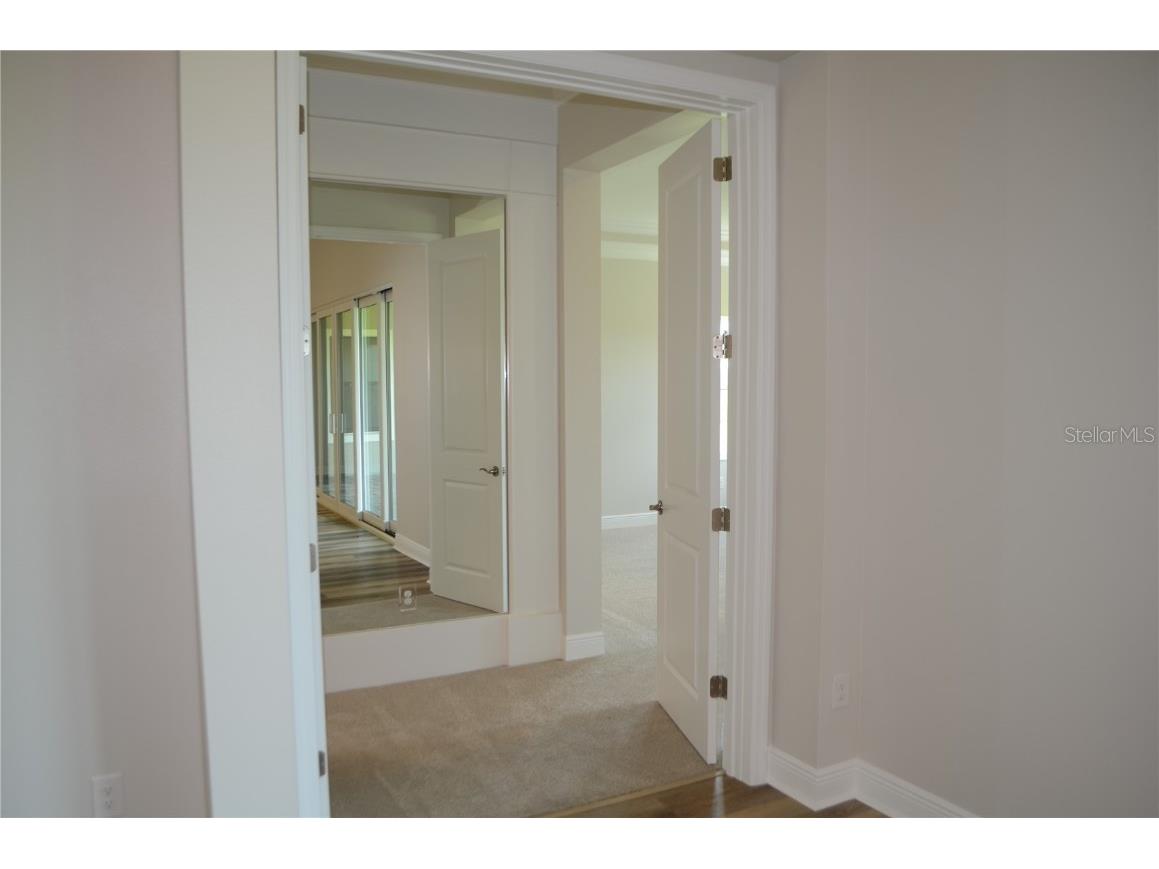 35436 Big Hawk Drive Zephyrhills FL 33541 TB8398199 image15