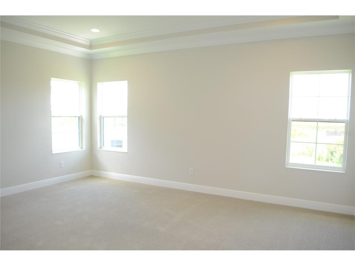 35436 Big Hawk Drive Zephyrhills FL 33541 TB8398199 image16