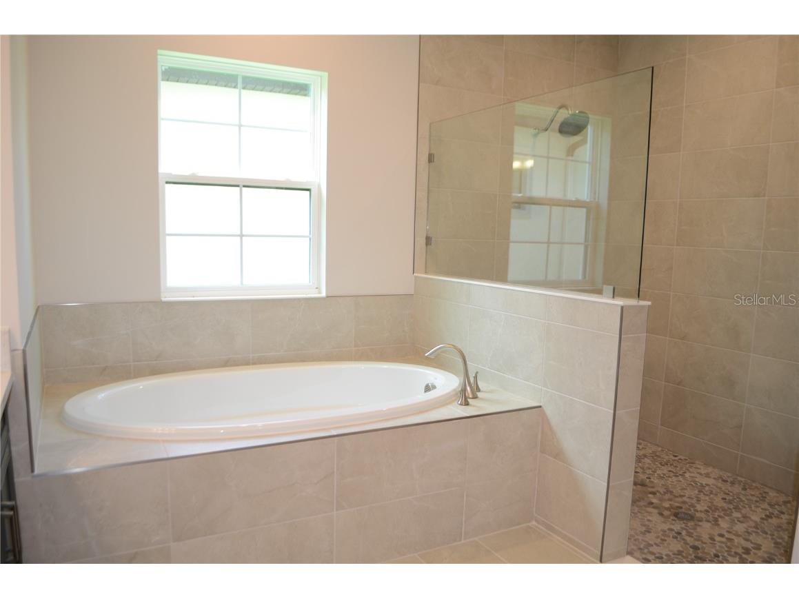 35436 Big Hawk Drive Zephyrhills FL 33541 TB8398199 image17