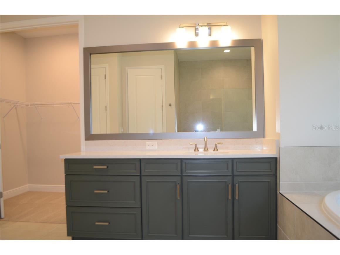 35436 Big Hawk Drive Zephyrhills FL 33541 TB8398199 image19