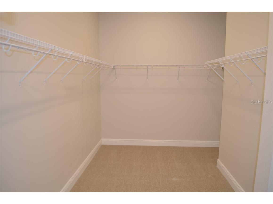 35436 Big Hawk Drive Zephyrhills FL 33541 TB8398199 image20