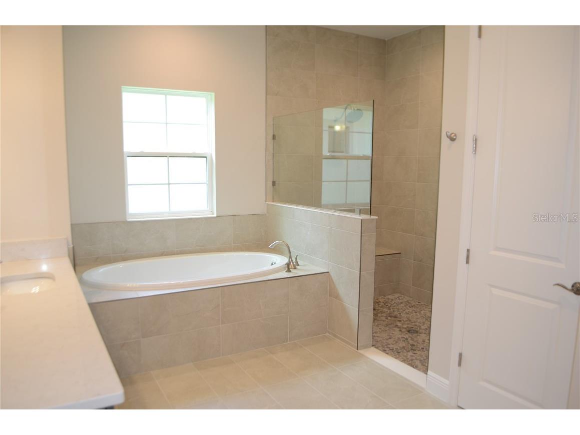 35436 Big Hawk Drive Zephyrhills FL 33541 TB8398199 image21