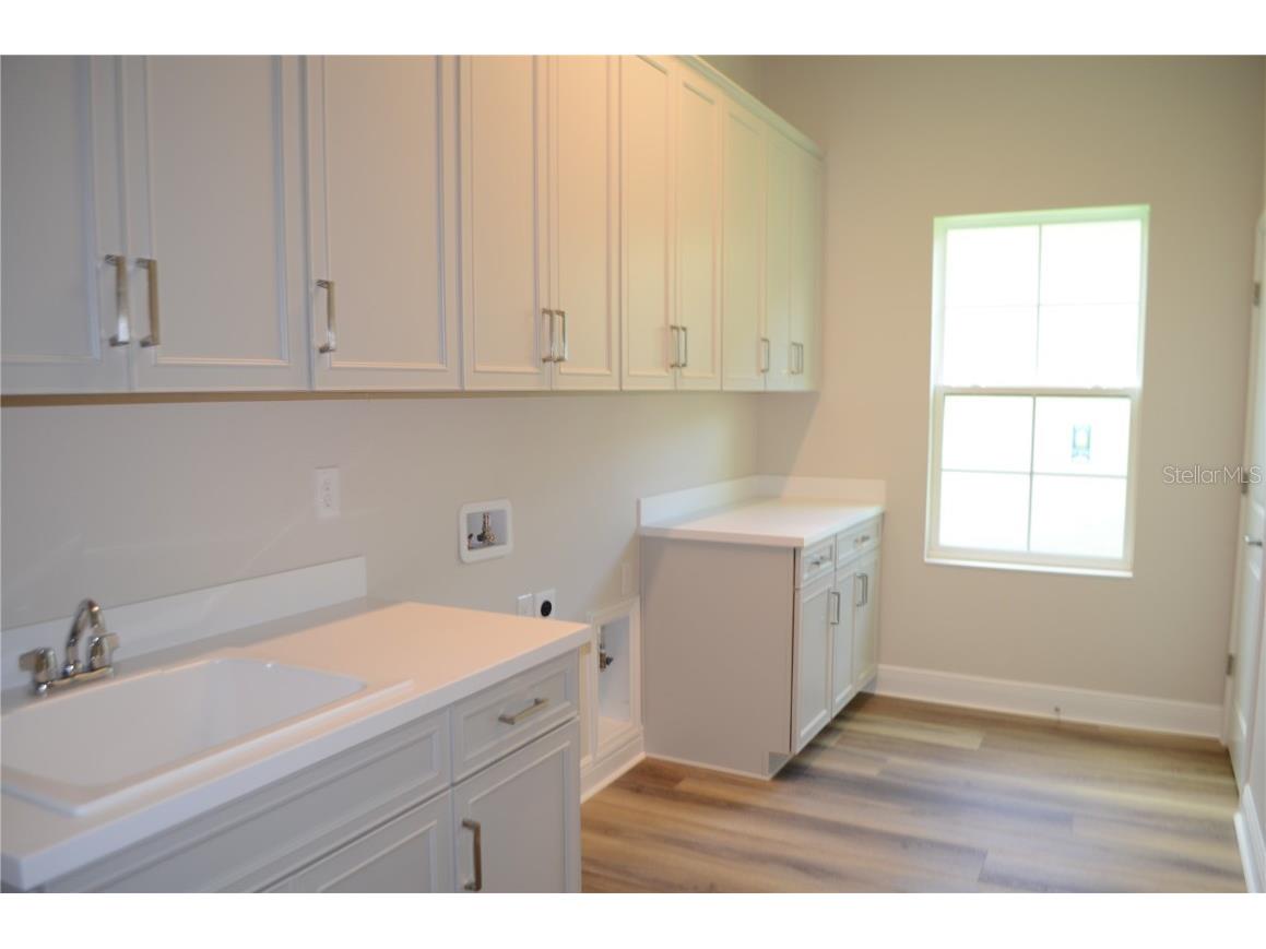 35436 Big Hawk Drive Zephyrhills FL 33541 TB8398199 image22