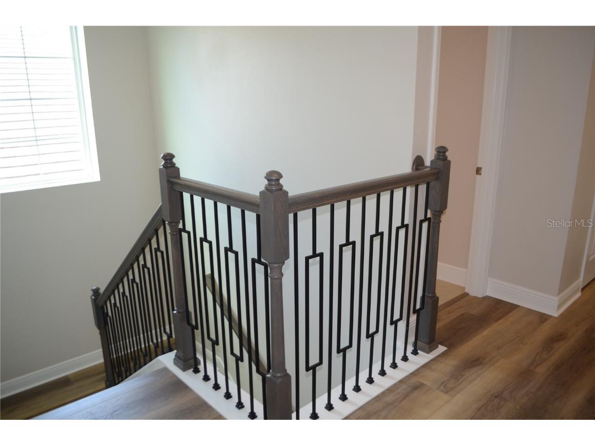 35436 Big Hawk Drive Zephyrhills FL 33541 TB8398199 image24