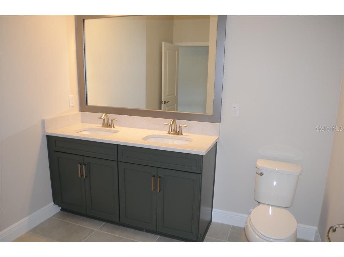 35436 Big Hawk Drive Zephyrhills FL 33541 TB8398199 image25