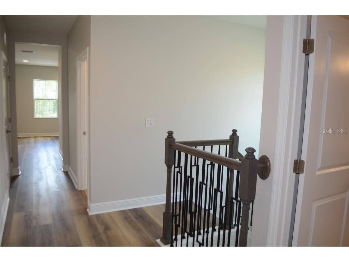 35436 Big Hawk Drive Zephyrhills FL 33541 TB8398199 image26