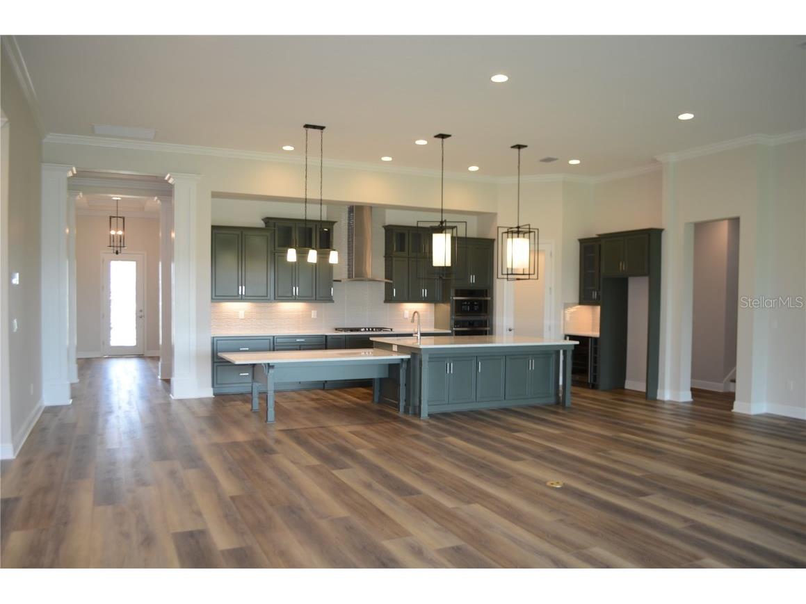 35436 Big Hawk Drive Zephyrhills FL 33541 TB8398199 image3