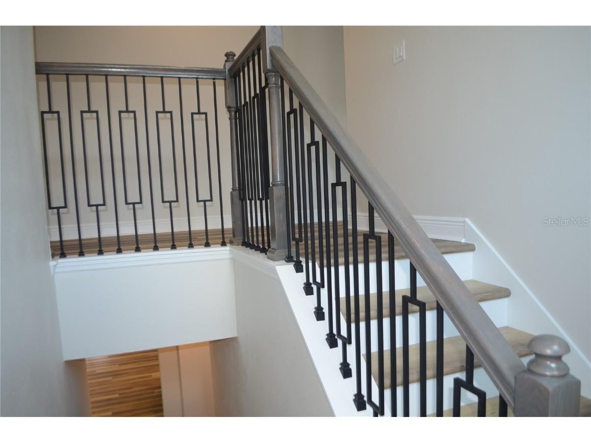 35436 Big Hawk Drive Zephyrhills FL 33541 TB8398199 image31