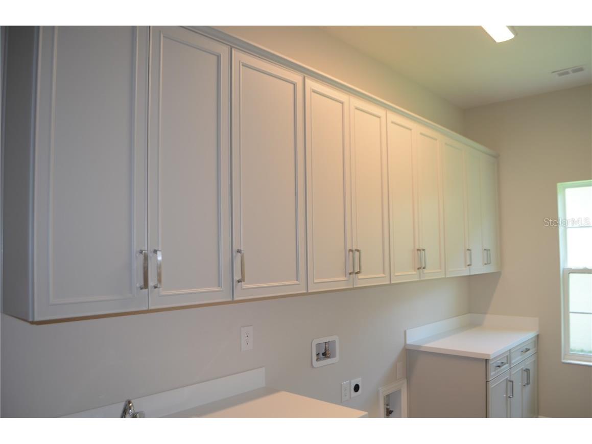 35436 Big Hawk Drive Zephyrhills FL 33541 TB8398199 image32