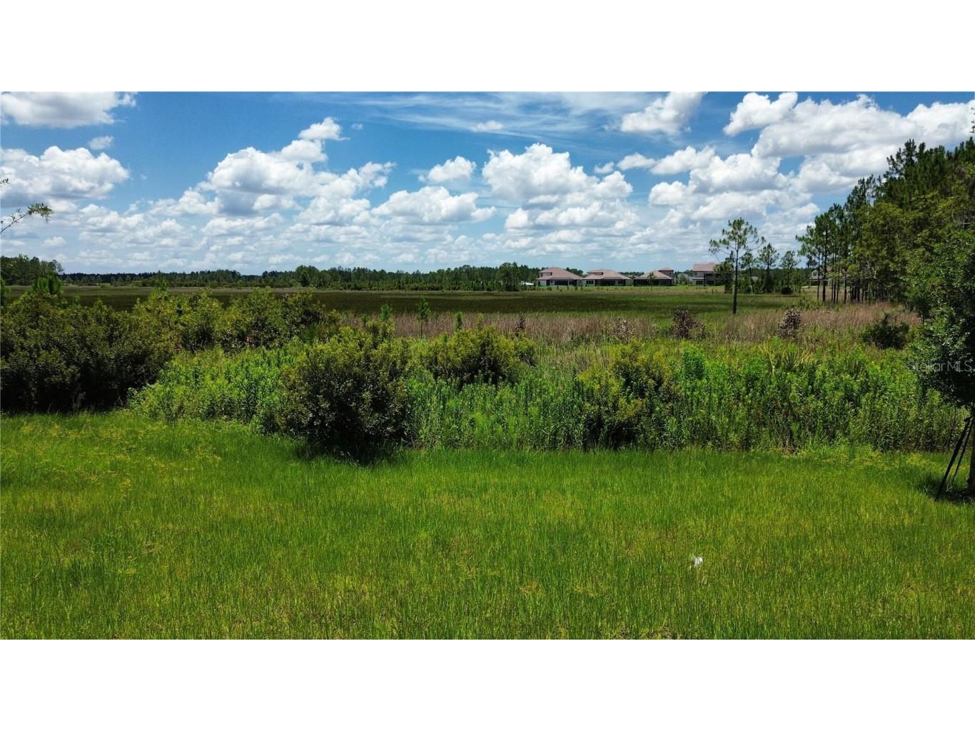 35436 Big Hawk Drive Zephyrhills FL 33541 TB8398199 image34