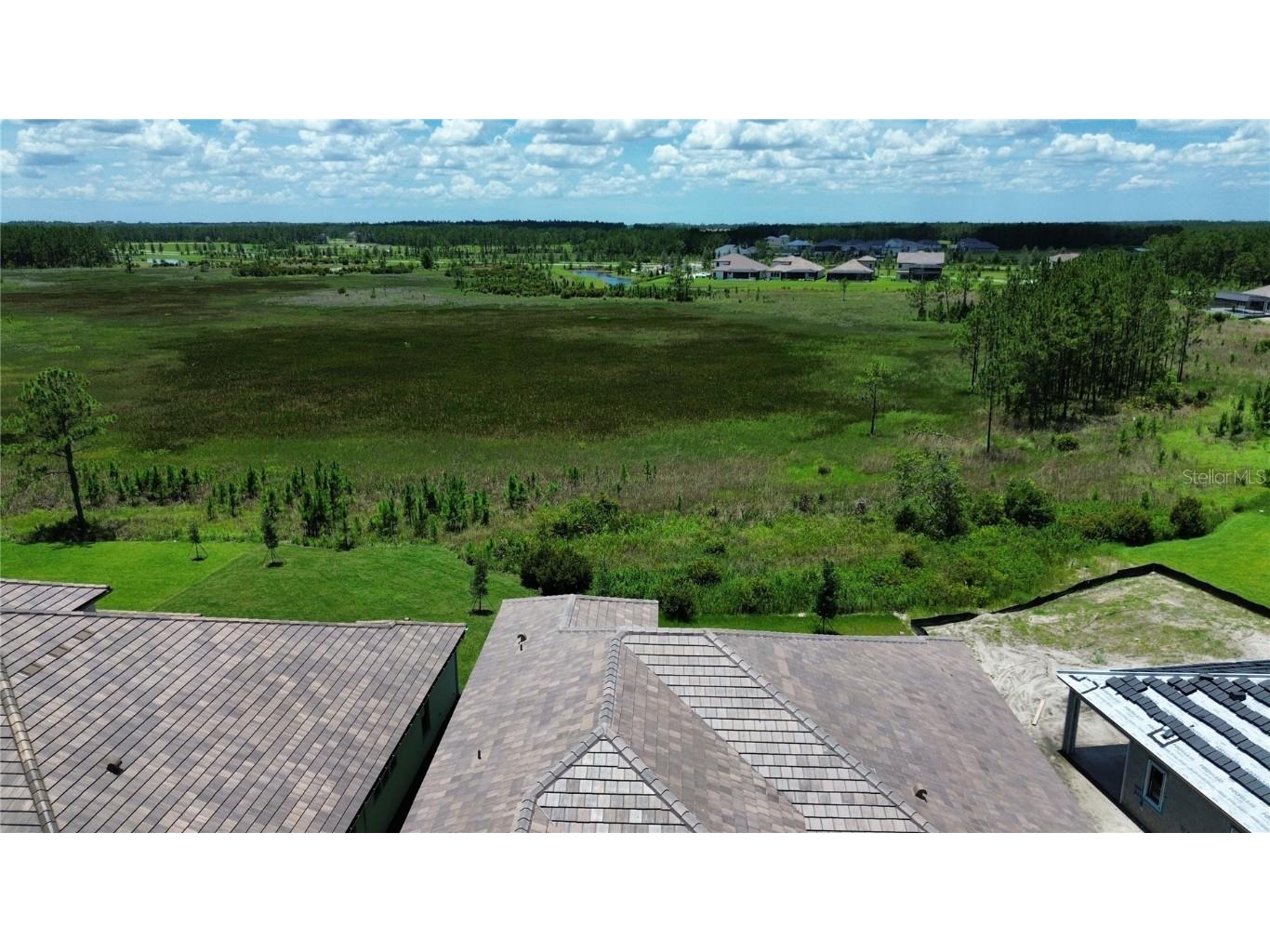 35436 Big Hawk Drive Zephyrhills FL 33541 TB8398199 image35