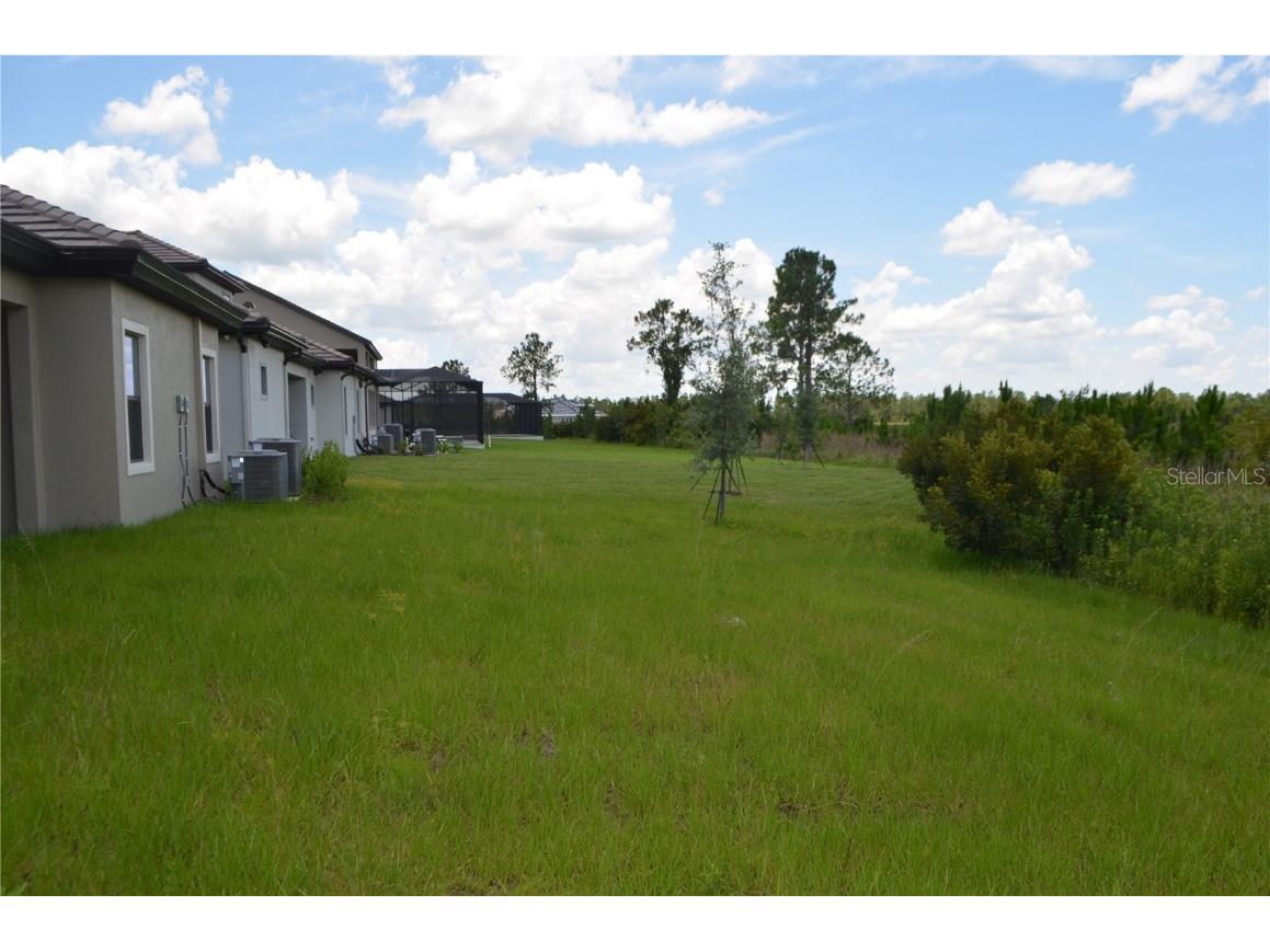 35436 Big Hawk Drive Zephyrhills FL 33541 TB8398199 image36