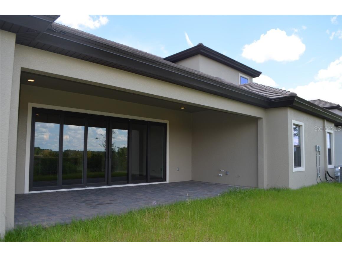 35436 Big Hawk Drive Zephyrhills FL 33541 TB8398199 image37