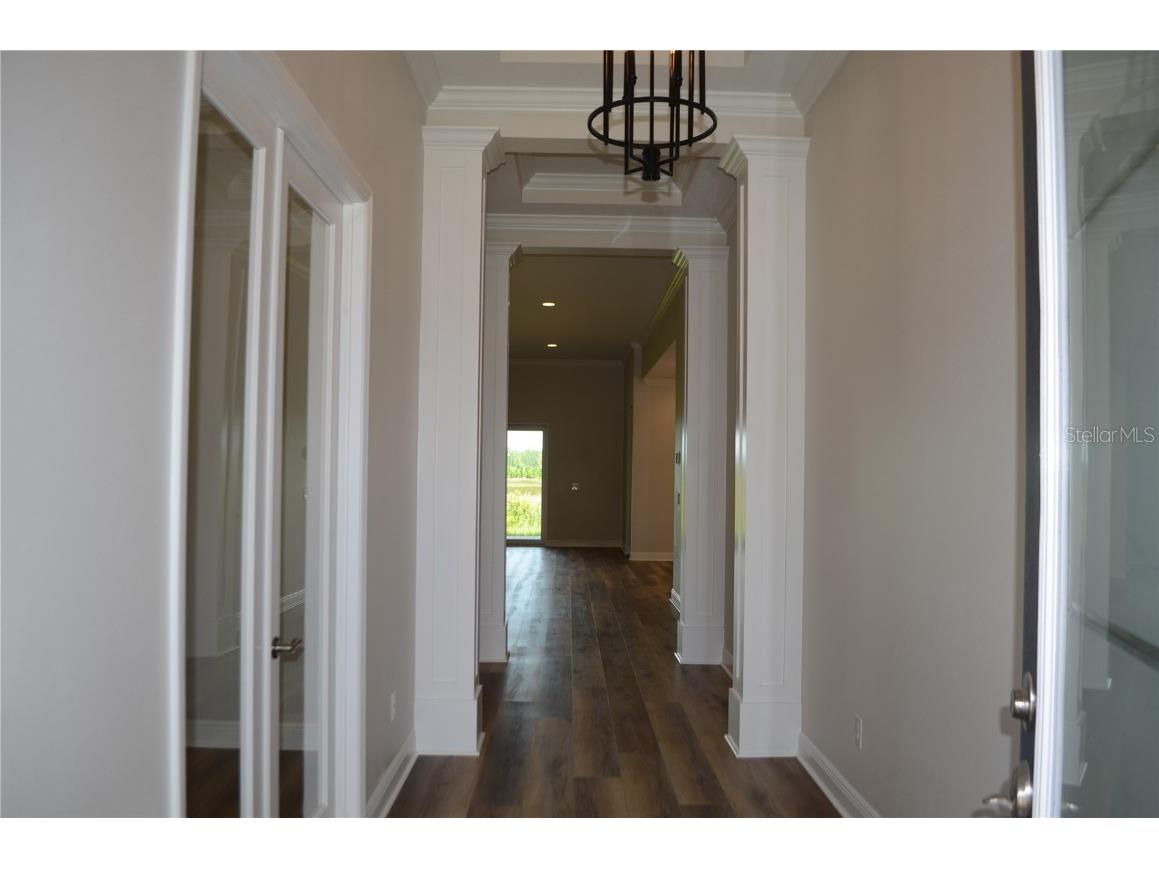 35436 Big Hawk Drive Zephyrhills FL 33541 TB8398199 image4