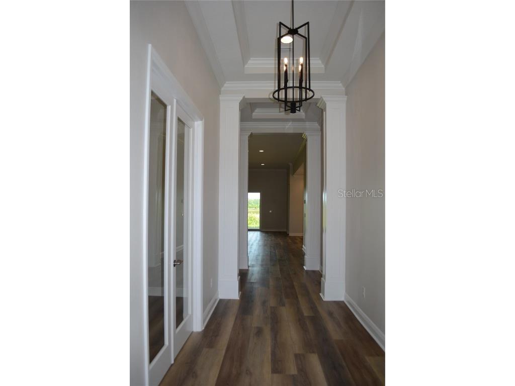 35436 Big Hawk Drive Zephyrhills FL 33541 TB8398199 image5