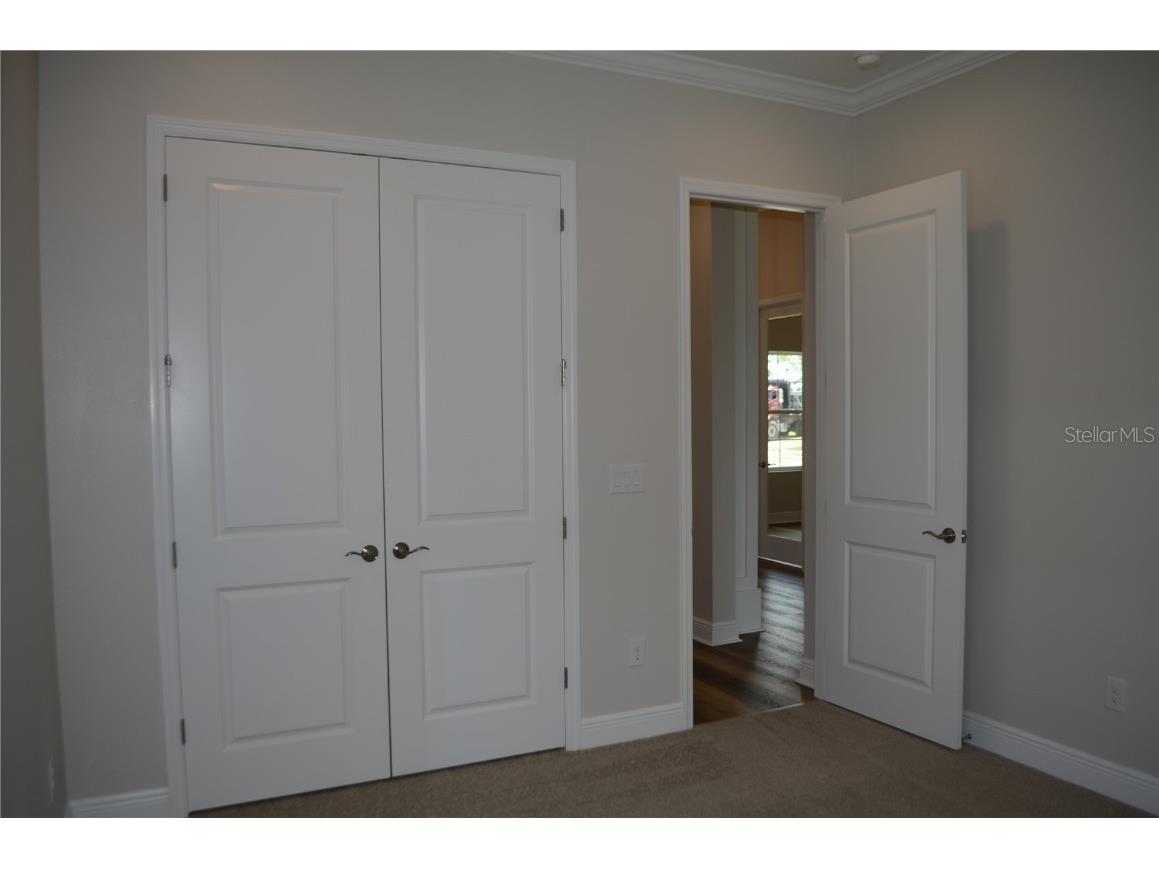 35436 Big Hawk Drive Zephyrhills FL 33541 TB8398199 image6