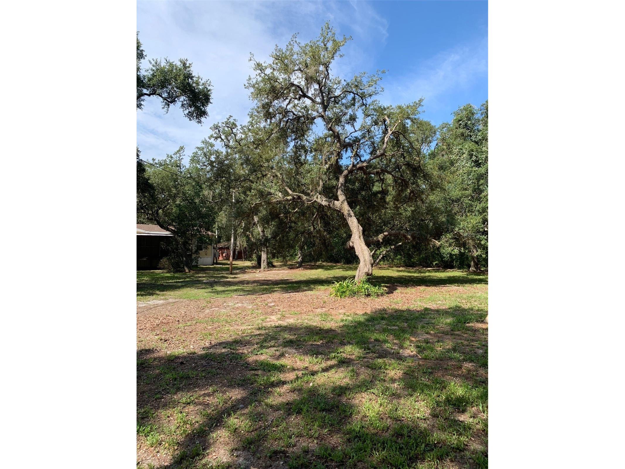 3544 E Withlacoochee Trail Dunnellon FL 34434 OM705164 image24