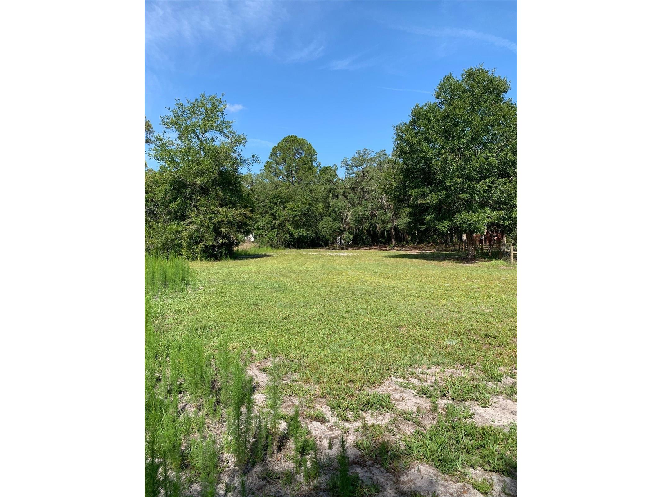 3544 E Withlacoochee Trail Dunnellon FL 34434 OM705164 image29