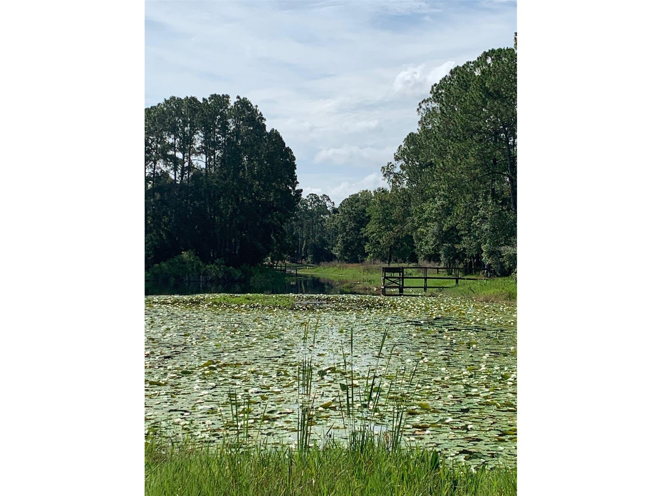 3544 E Withlacoochee Trail Dunnellon FL 34434 OM705164 image30