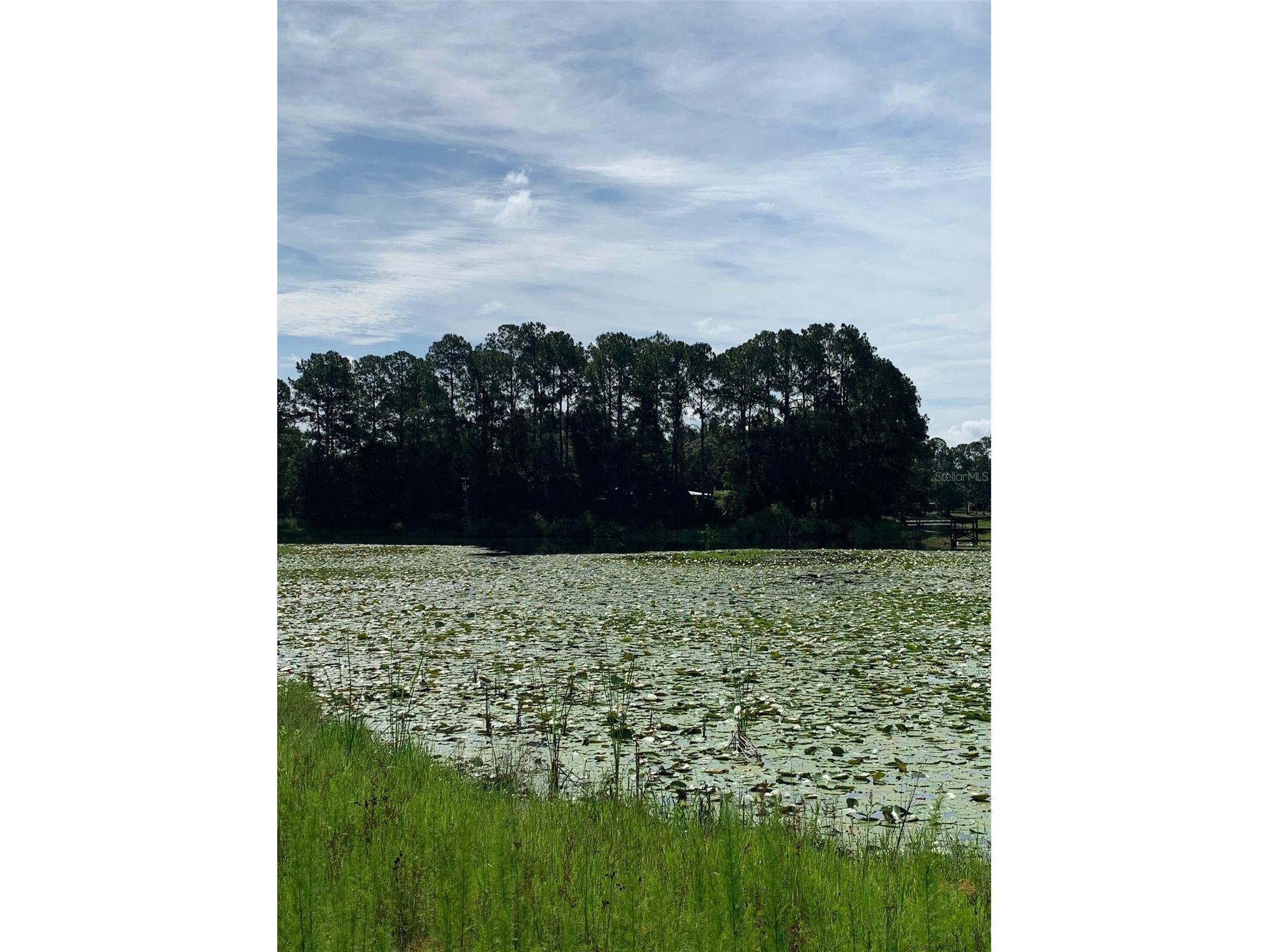 3544 E Withlacoochee Trail Dunnellon FL 34434 OM705164 image32