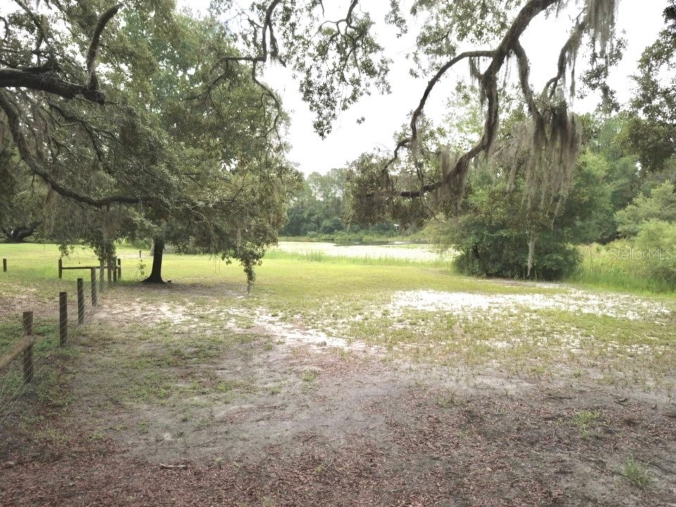 3544 E Withlacoochee Trail Dunnellon FL 34434 OM705164 image39