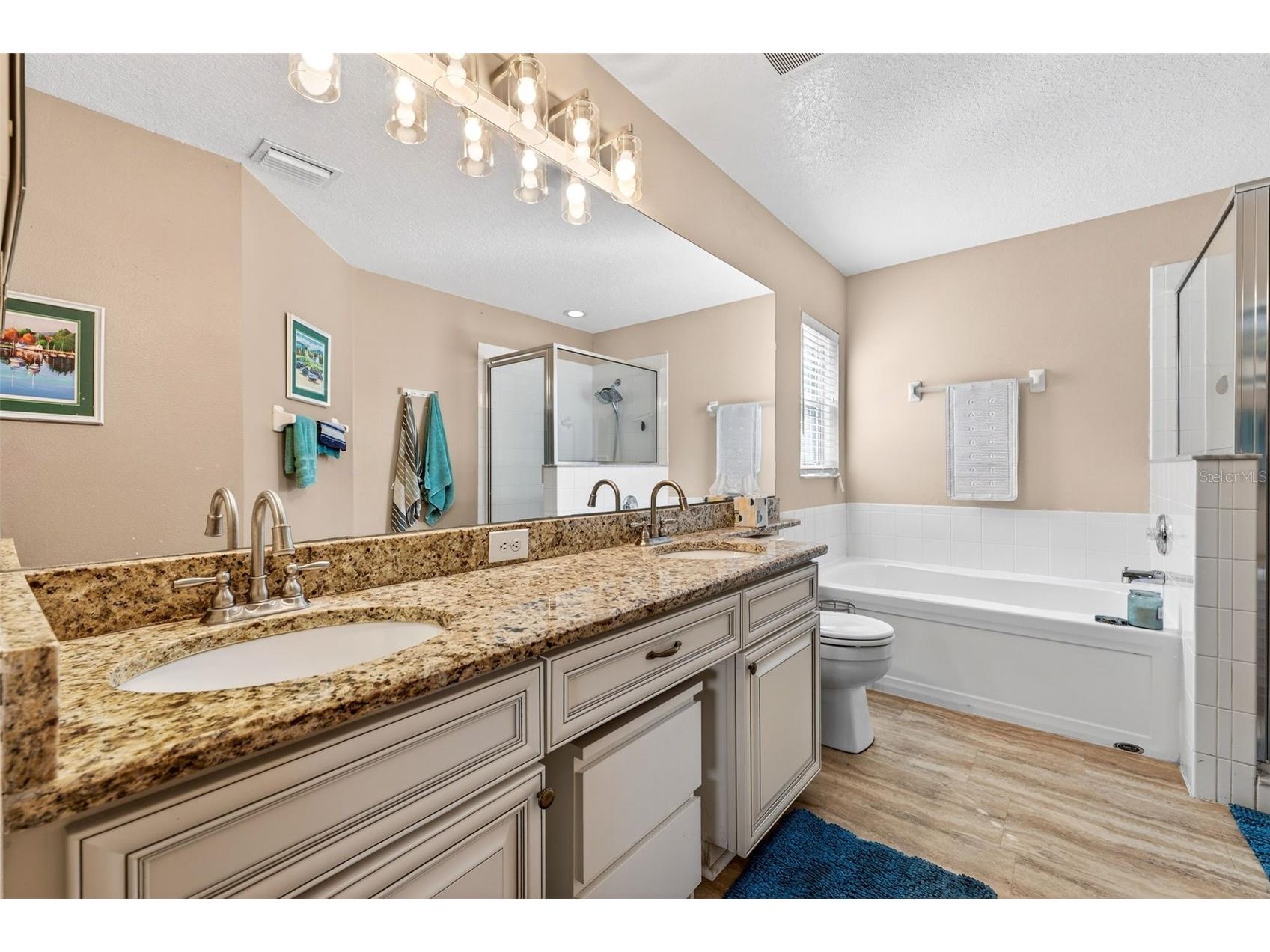 3544 Osprey Cove Drive Riverview FL 33578 TB8471214 image13