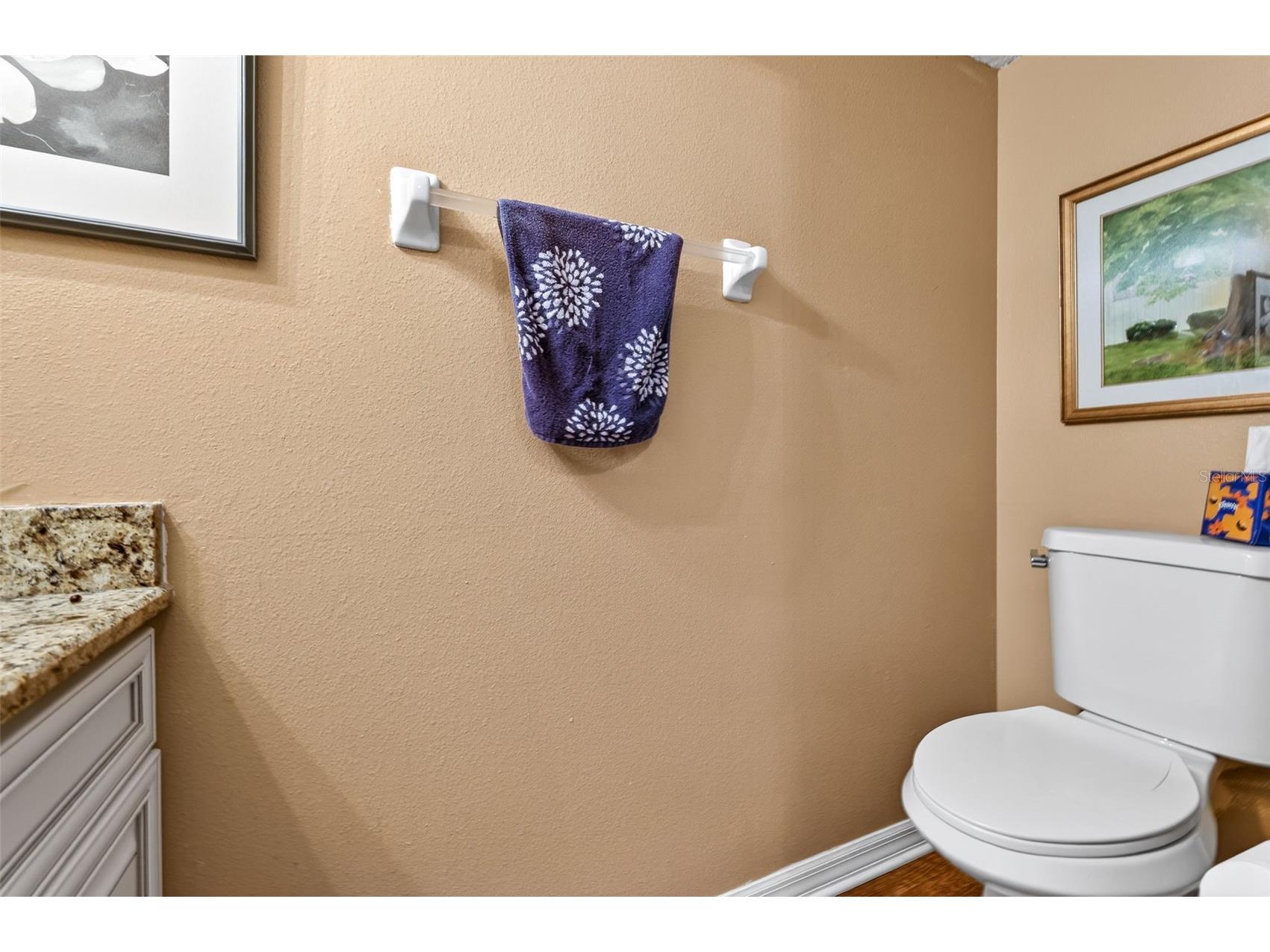 3544 Osprey Cove Drive Riverview FL 33578 TB8471214 image17