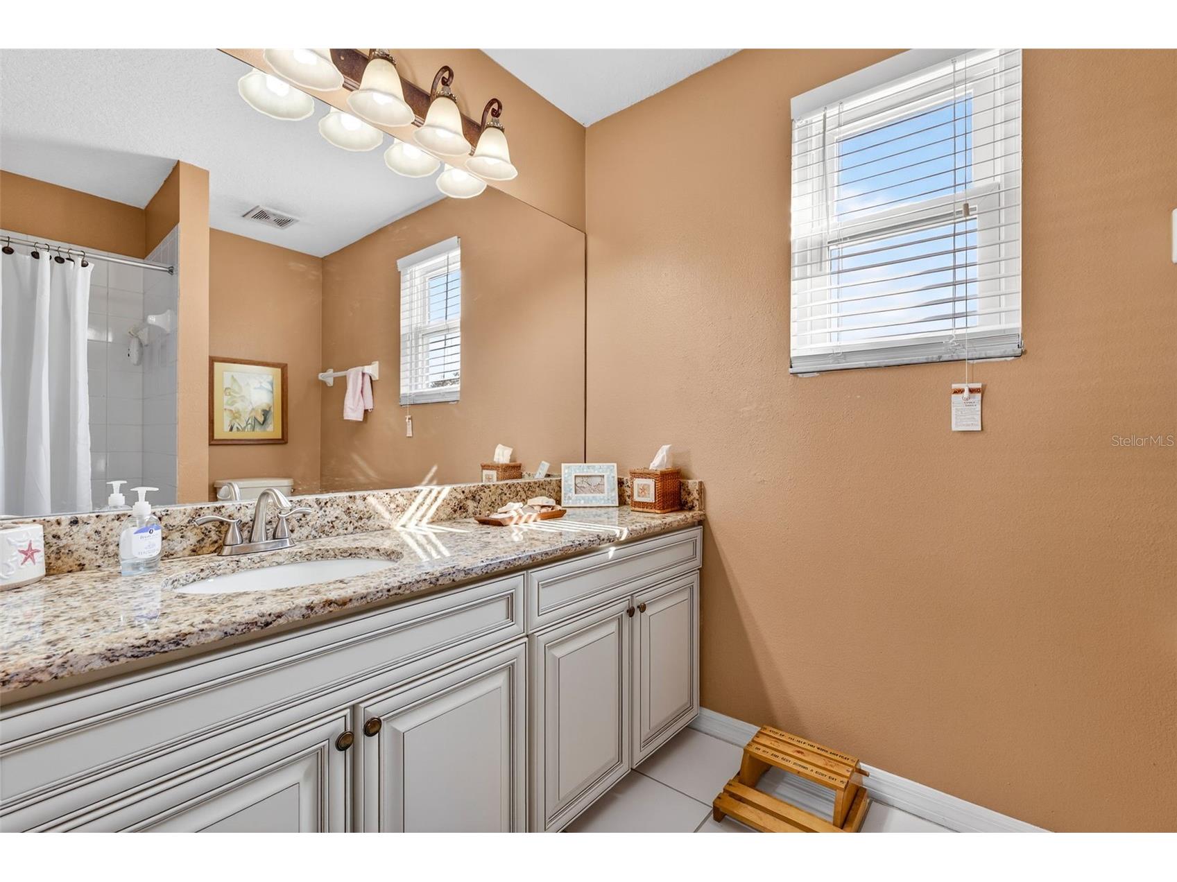 3544 Osprey Cove Drive Riverview FL 33578 TB8471214 image23