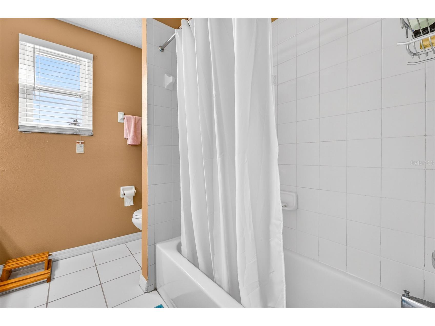 3544 Osprey Cove Drive Riverview FL 33578 TB8471214 image24