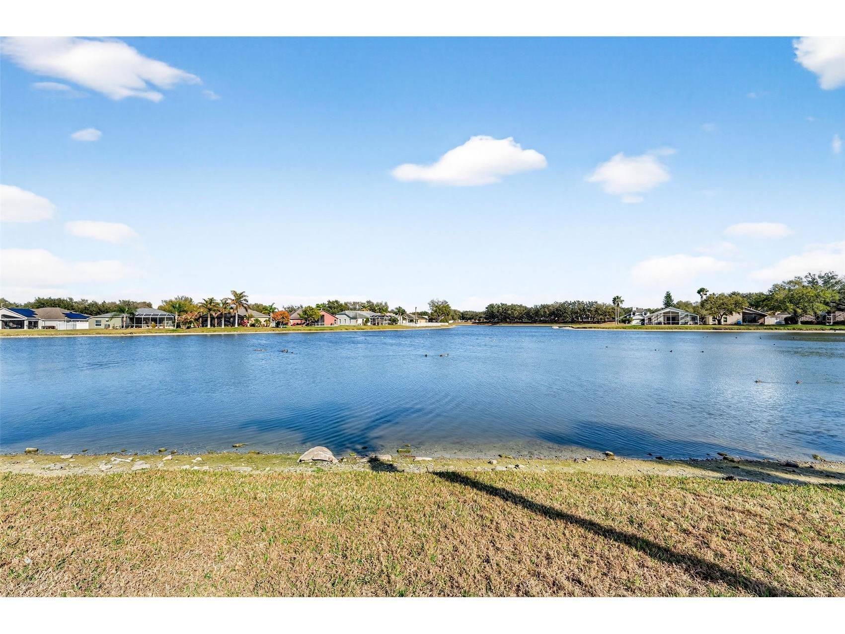 3544 Osprey Cove Drive Riverview FL 33578 TB8471214 image33