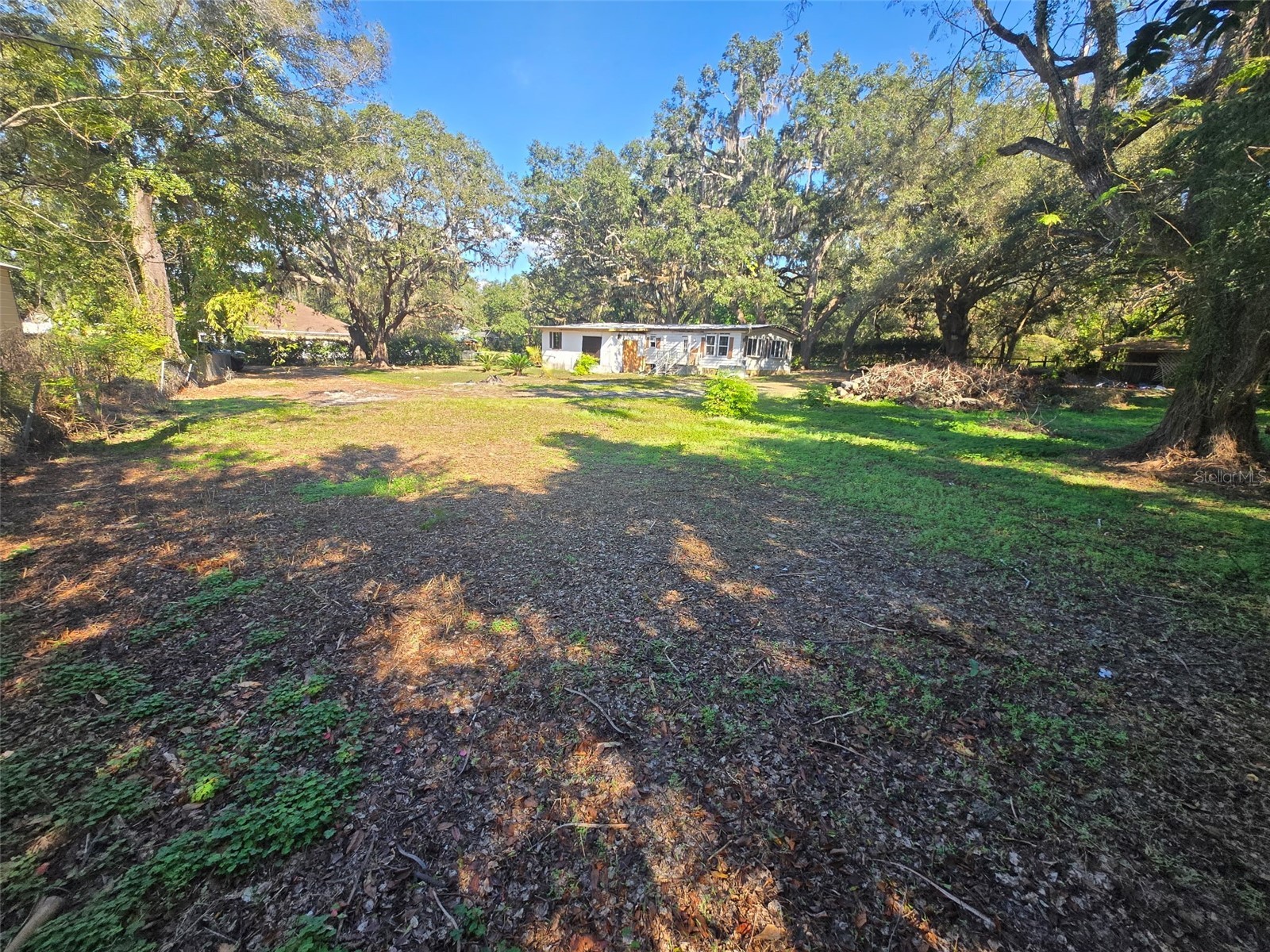 35444 Darlene Drive Zephyrhills FL 33541 TB8456795 image1