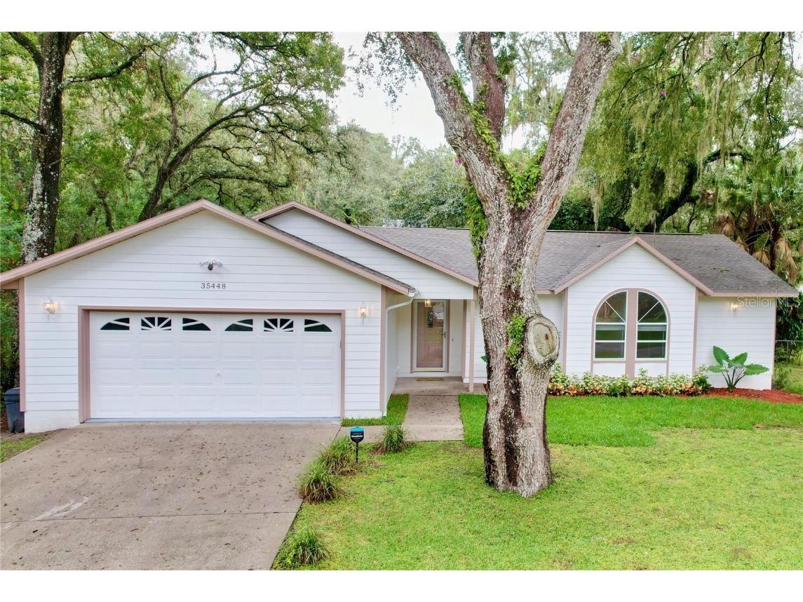 35448 Bill Drive Zephyrhills FL 33541 T3479790 image1