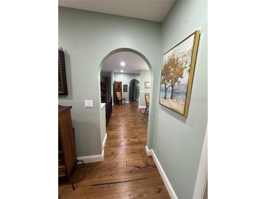 3545 Lake Padgett Drive Land O Lakes FL 34639 - LAKE PADGETT TB8410357 image14