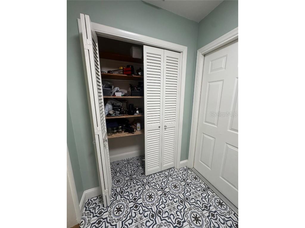 3545 Lake Padgett Drive Land O Lakes FL 34639 - LAKE PADGETT TB8410357 image25