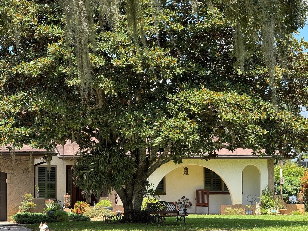 3545 Lake Padgett Drive Land O Lakes FL 34639 - LAKE PADGETT TB8410357 image3