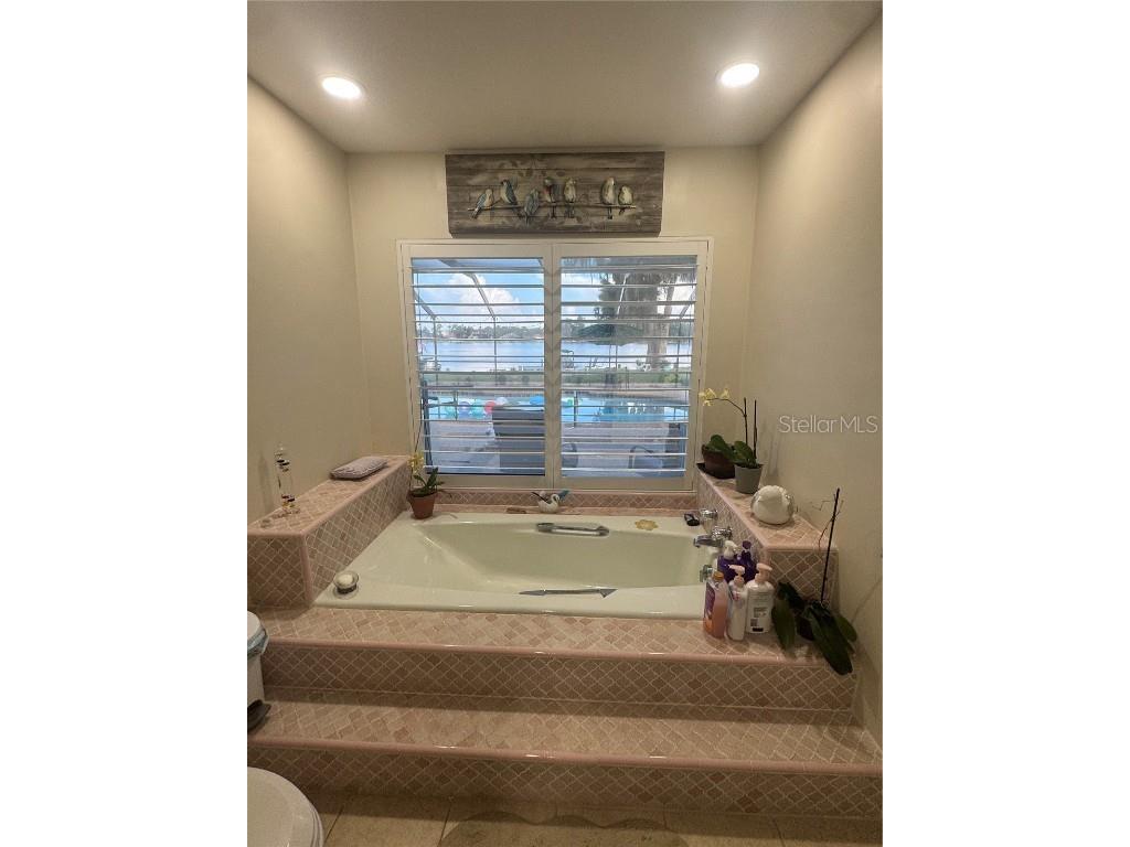 3545 Lake Padgett Drive Land O Lakes FL 34639 - LAKE PADGETT TB8410357 image32