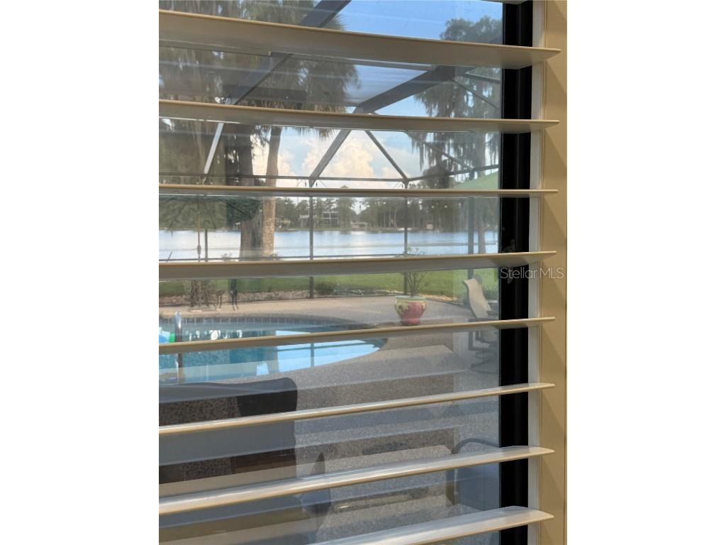 3545 Lake Padgett Drive Land O Lakes FL 34639 - LAKE PADGETT TB8410357 image33