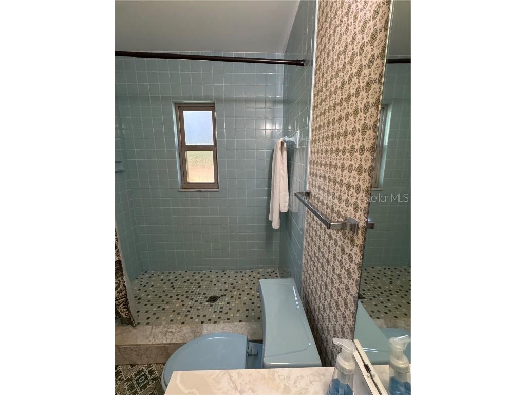 3545 Lake Padgett Drive Land O Lakes FL 34639 - LAKE PADGETT TB8410357 image39