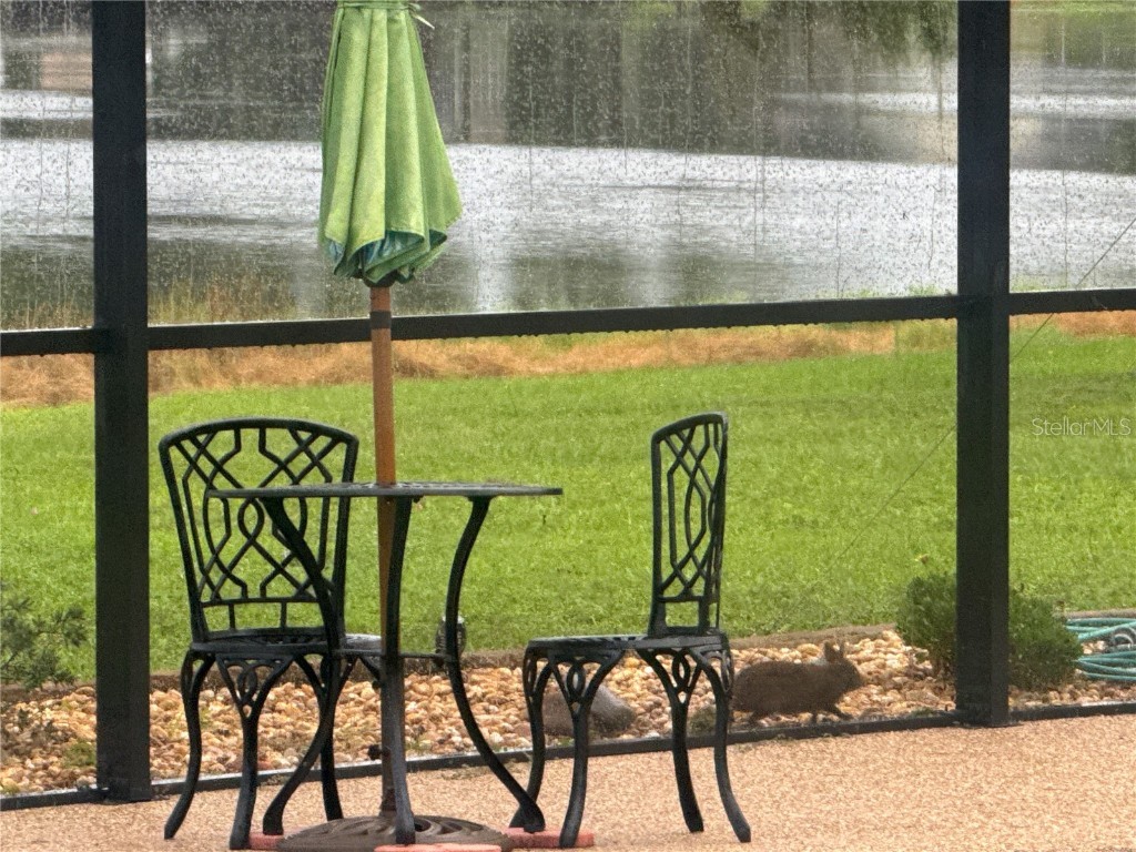 3545 Lake Padgett Drive Land O Lakes FL 34639 - LAKE PADGETT TB8410357 image42