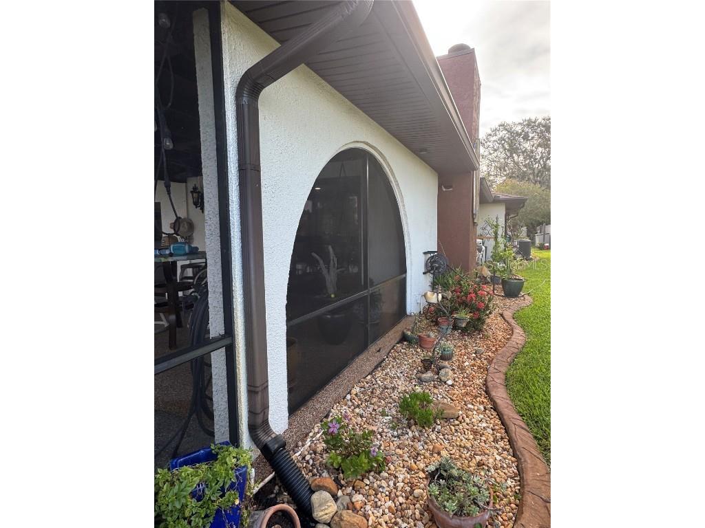 3545 Lake Padgett Drive Land O Lakes FL 34639 - LAKE PADGETT TB8410357 image56