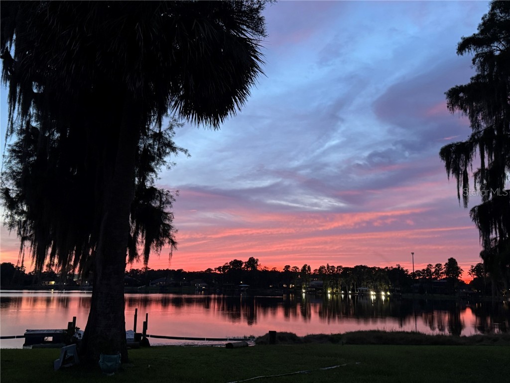 3545 Lake Padgett Drive Land O Lakes FL 34639 - LAKE PADGETT TB8410357 image59