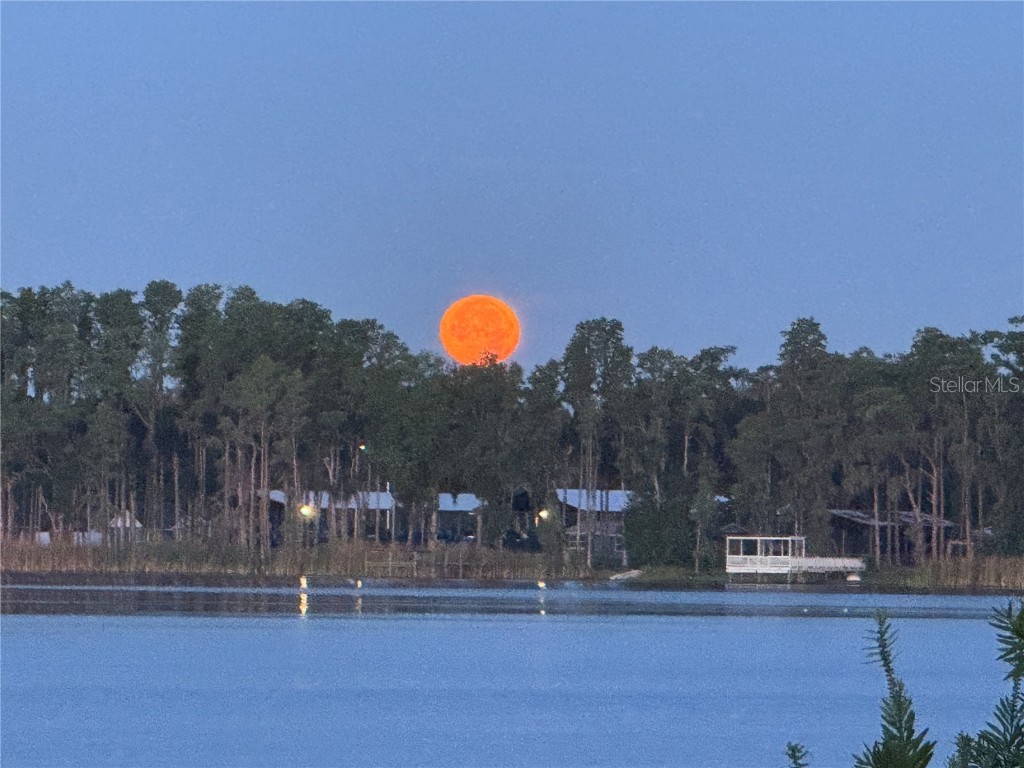 3545 Lake Padgett Drive Land O Lakes FL 34639 - LAKE PADGETT TB8410357 image60