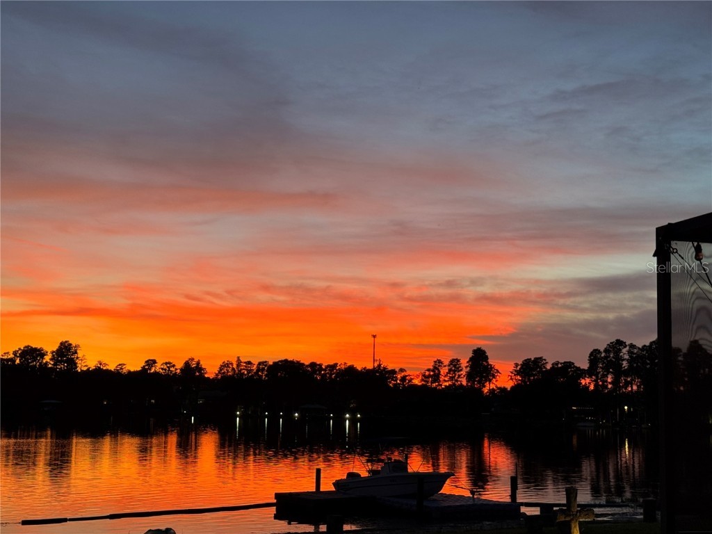 3545 Lake Padgett Drive Land O Lakes FL 34639 - LAKE PADGETT TB8410357 image61