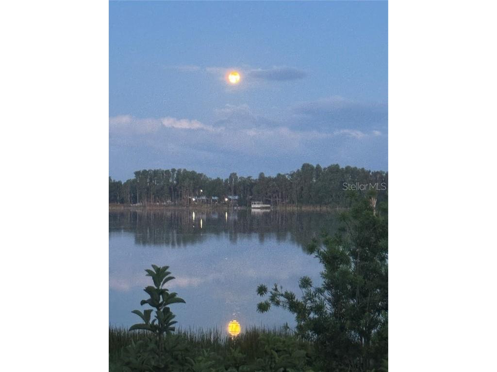 3545 Lake Padgett Drive Land O Lakes FL 34639 - LAKE PADGETT TB8410357 image62